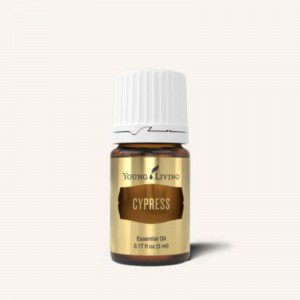 CYPRESS 絲柏 (十金)